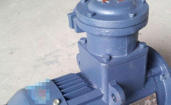 防爆電機(jī)