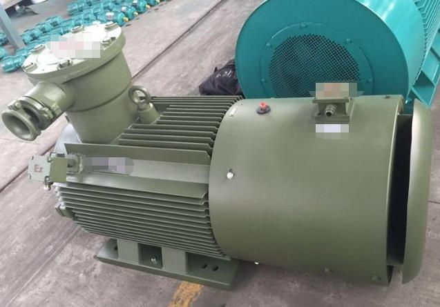 防爆電機(jī)