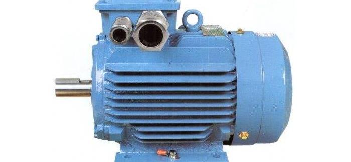 防爆電機(jī)